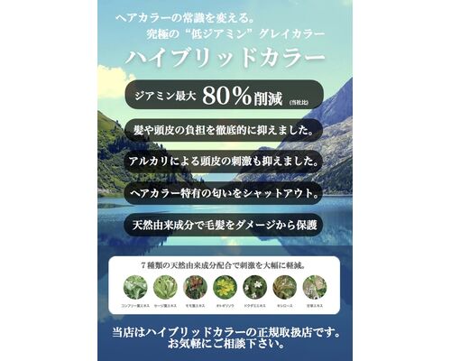 ハイブリッドカラー　A６