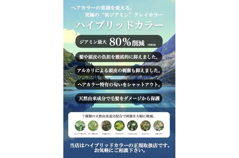 ハイブリッドカラー　A６