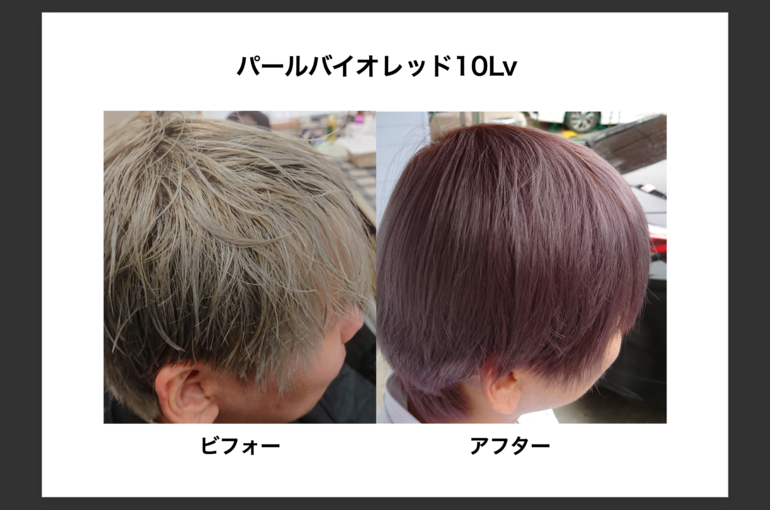 スクリーンショット 2021-09-14 13.52.42