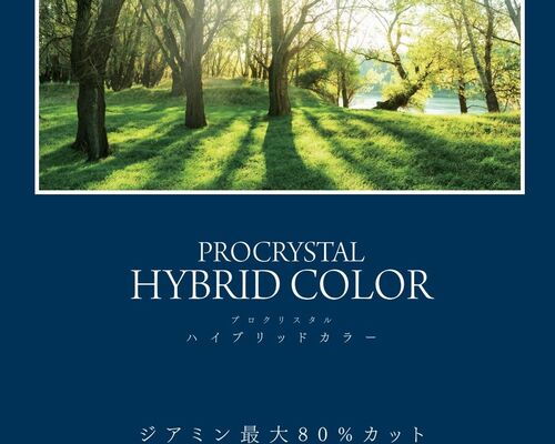 ハイブリッド